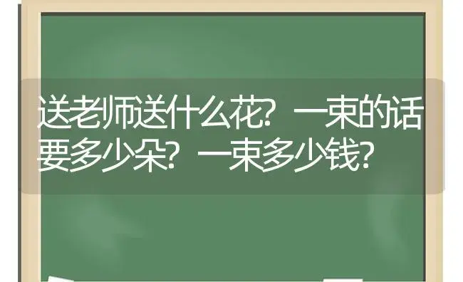 送老师送什么花?一束的话要多少朵?一束多少钱？ | 绿植常识