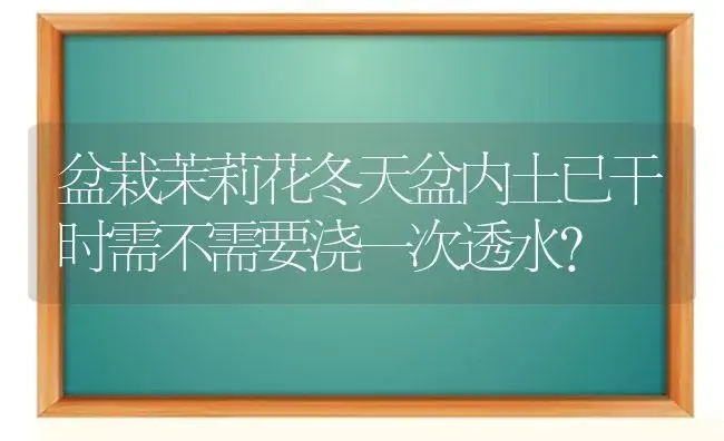 盆栽茉莉花冬天盆内土已干时需不需要浇一次透水？ | 绿植常识