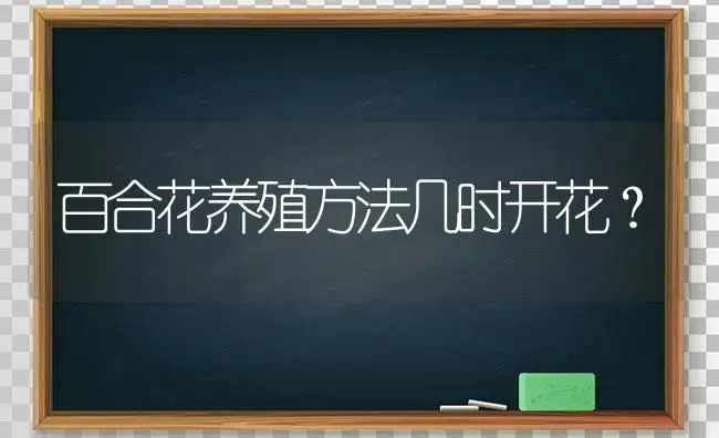 百合花养殖方法几时开花？ | 绿植常识