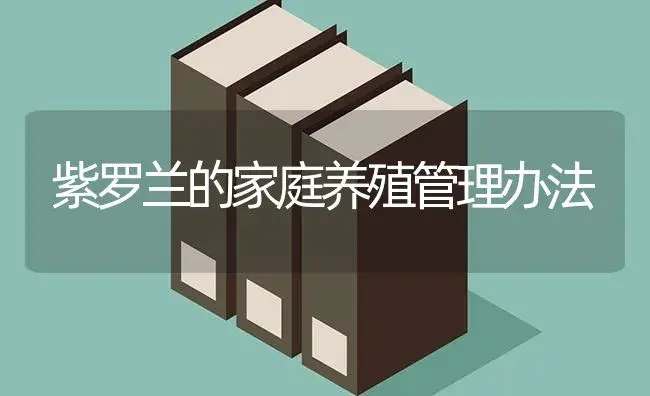 紫罗兰的家庭养殖管理办法 | 特种种植