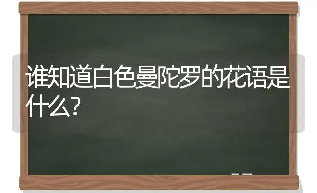 谁知道白色曼陀罗的花语是什么？ | 绿植常识