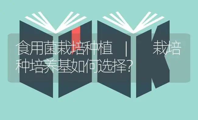 栽培种培养基如何选择？ | 菌菇种植