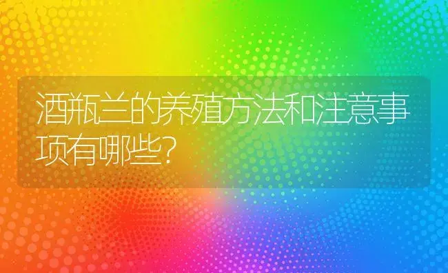 酒瓶兰的养殖方法和注意事项有哪些？ | 绿植常识