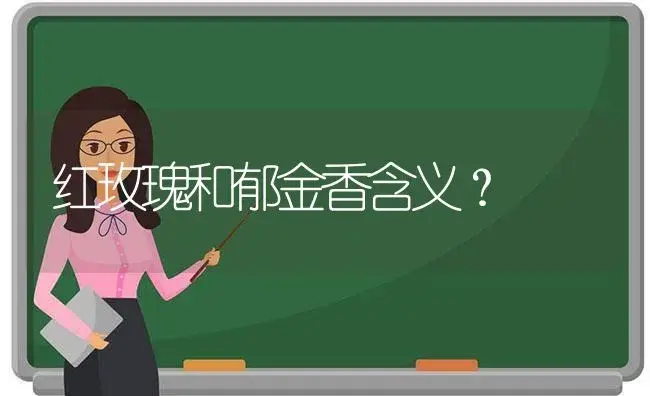 红玫瑰和郁金香含义？ | 绿植常识