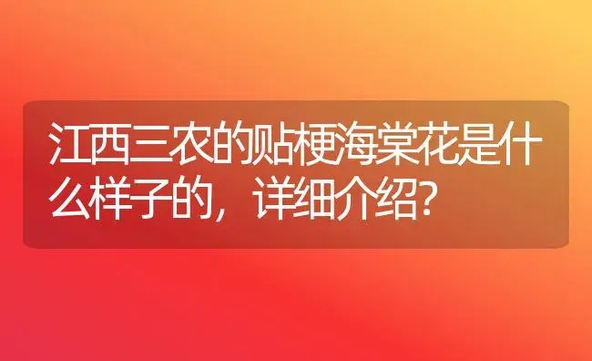 江西三农的贴梗海棠花是什么样子的，详细介绍？ | 绿植常识