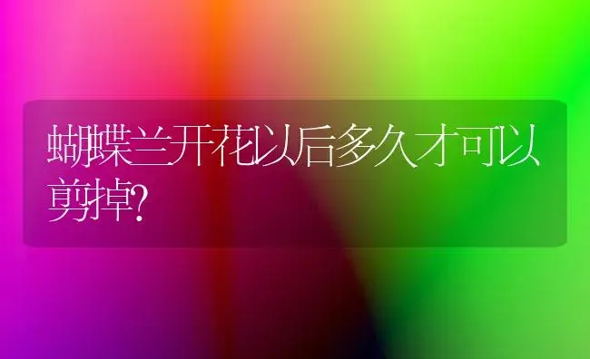 蝴蝶兰开花以后多久才可以剪掉？ | 绿植常识