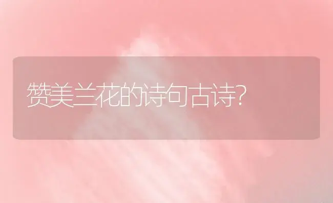 赞美兰花的诗句古诗？ | 绿植常识