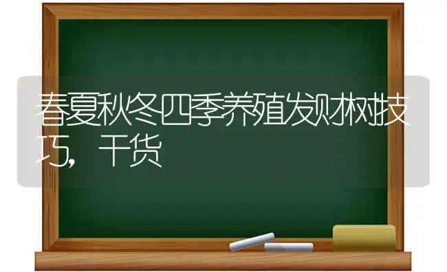 春夏秋冬四季养殖发财树技巧，干货 | 家庭养花