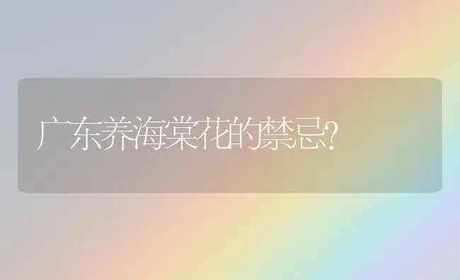 广东养海棠花的禁忌？ | 绿植常识