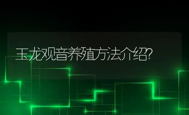 玉龙观音养殖方法介绍？ | 多肉养殖