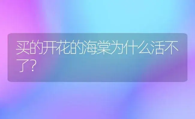 买的开花的海棠为什么活不了？ | 绿植常识