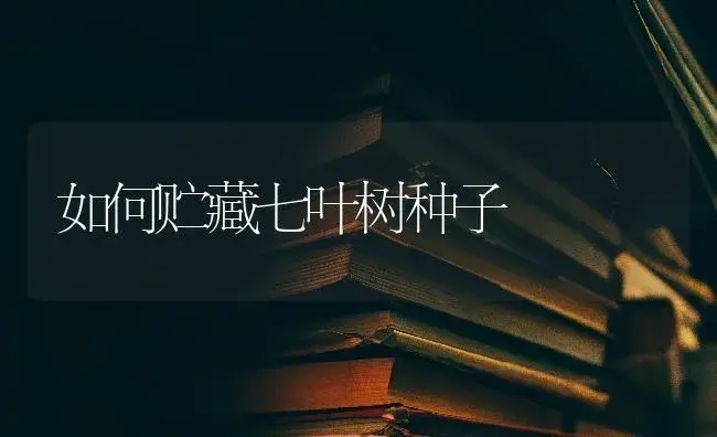 如何贮藏七叶树种子 | 特种种植