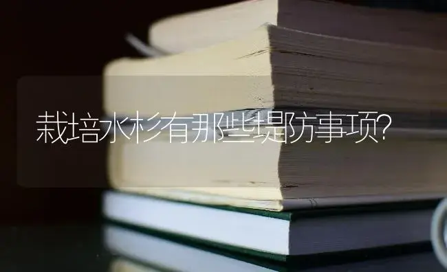 栽培水杉有那些堤防事项？ | 特种种植