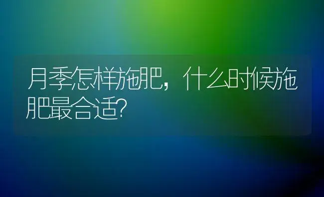 月季怎样施肥，什么时候施肥最合适？ | 绿植常识