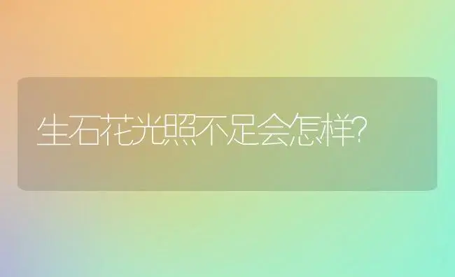 生石花光照不足会怎样？ | 多肉养殖