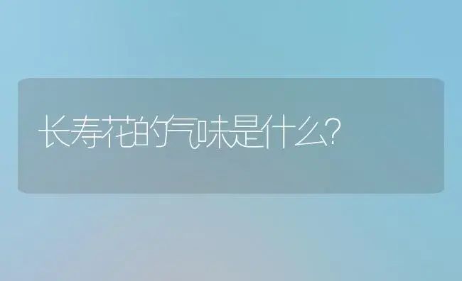 长寿花的气味是什么？ | 多肉养殖