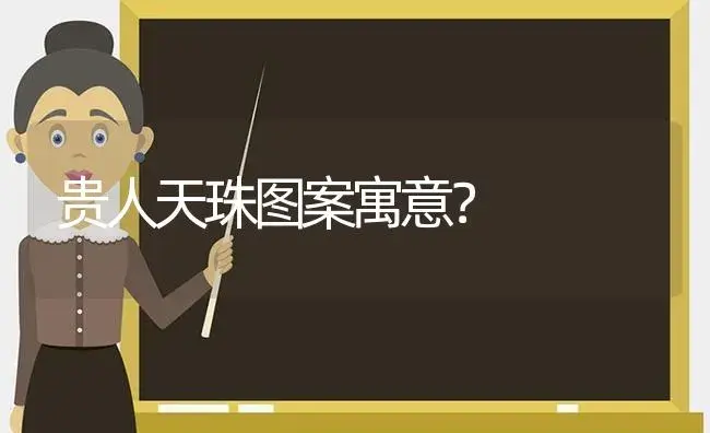 贵人天珠图案寓意？ | 多肉养殖