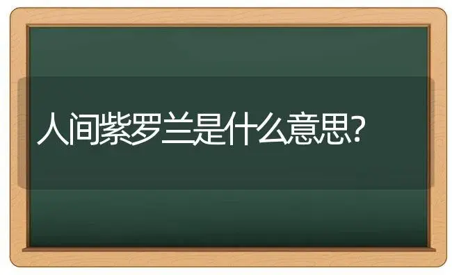 人间紫罗兰是什么意思？ | 绿植常识