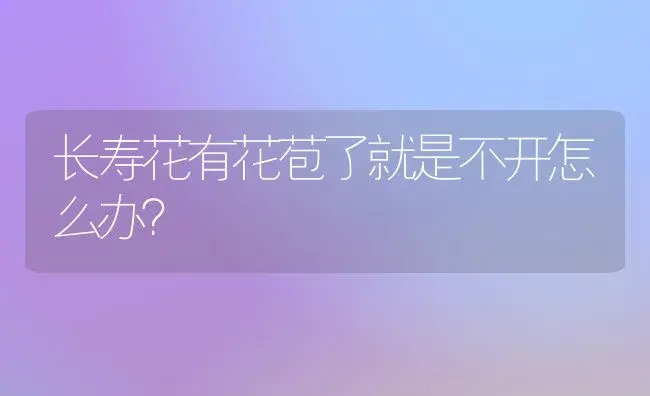 长寿花有花苞了就是不开怎么办？ | 多肉养殖