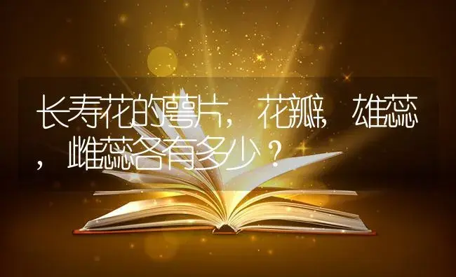 长寿花的萼片,花瓣,雄蕊,雌蕊各有多少？ | 多肉养殖