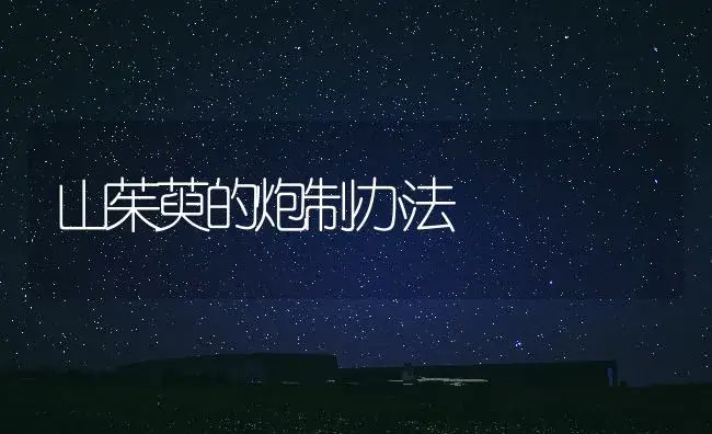 山茱萸的炮制办法 | 药材种植