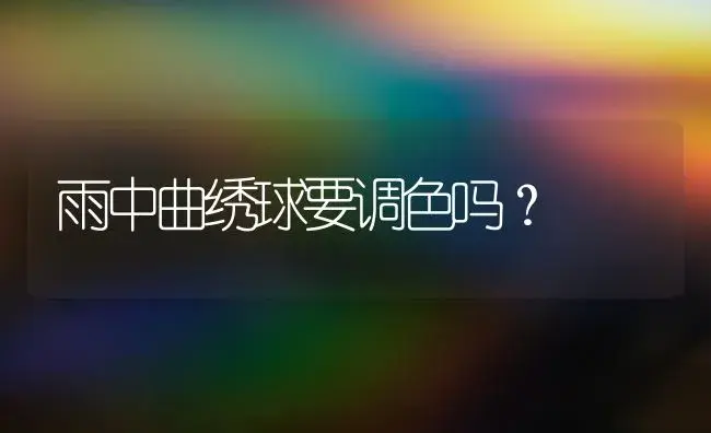 雨中曲绣球要调色吗？ | 绿植常识