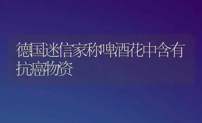 德国迷信家称啤酒花中含有抗癌物资 | 家庭养花