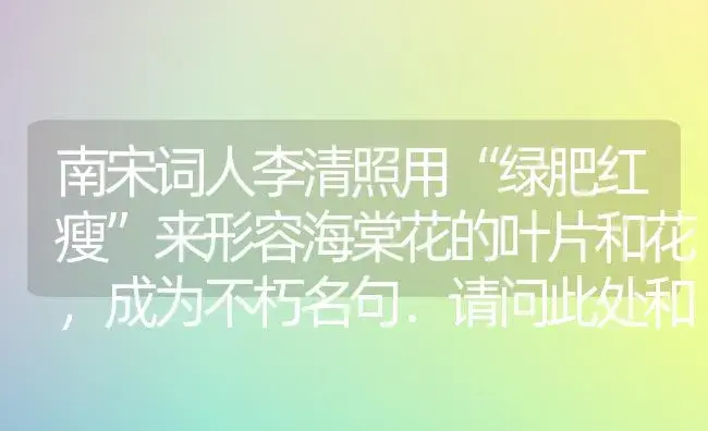 南宋词人李清照用“绿肥红瘦”来形容海棠花的叶片和花，成为不朽名句．请问此处和“绿”、“红”相关的色？ | 绿植常识