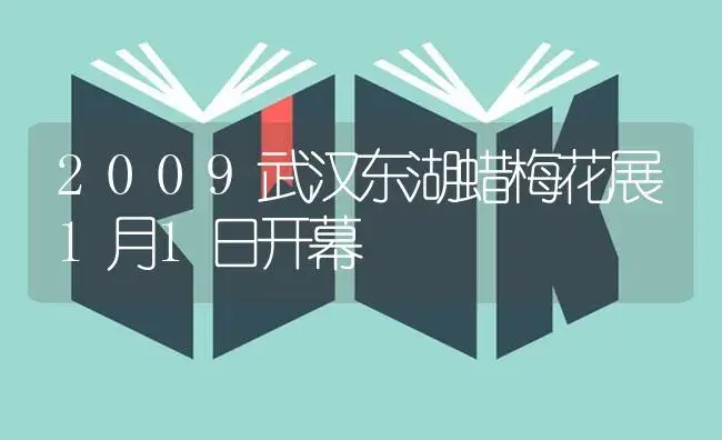 2009武汉东湖蜡梅花展1月1日开幕 | 特种种植