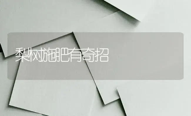 梨树施肥有奇招 | 果木种植