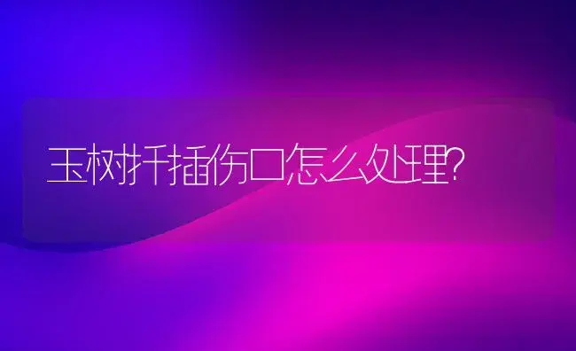 玉树扦插伤口怎么处理？ | 多肉养殖