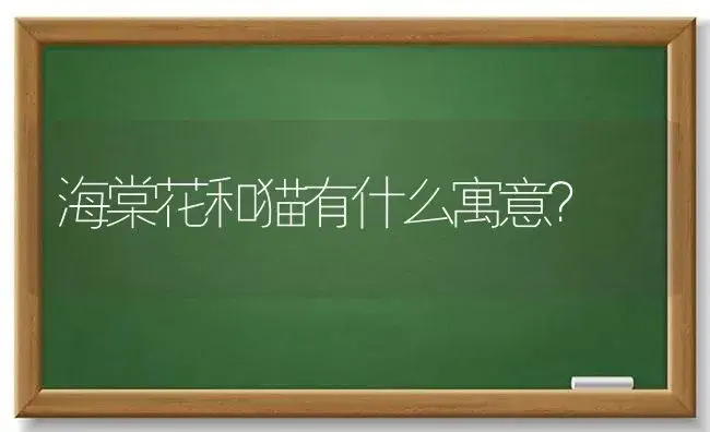 一朵粉玫瑰3朵黄玫瑰代表？ | 绿植常识