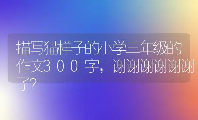 描写猫样子的小学三年级的作文300字，谢谢谢谢谢谢了？ | 绿植常识