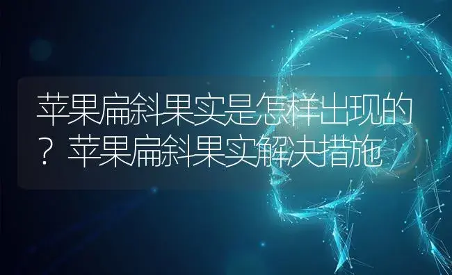 苹果扁斜果实是怎样出现的？苹果扁斜果实解决措施 | 果木种植