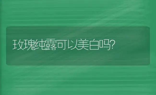 蝴蝶兰绿熊属于小花吗？ | 绿植常识