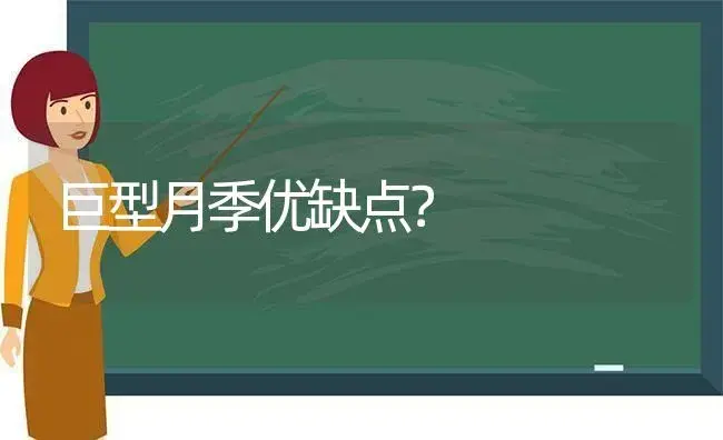 巨型月季优缺点？ | 绿植常识