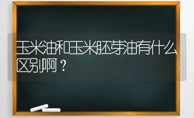 玉米油和玉米胚芽油有什么区别啊？ | 多肉养殖