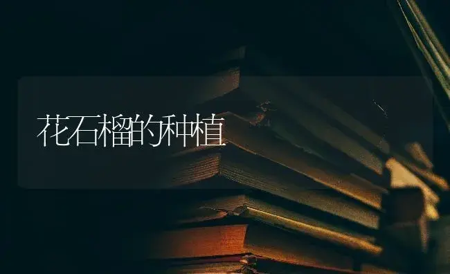 花石榴的种植 | 特种种植