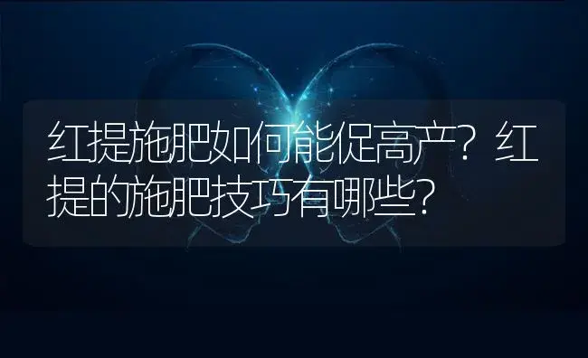 红提施肥如何能促高产？红提的施肥技巧有哪些？ | 果木种植