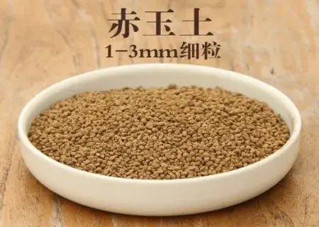 盆景知识 | 种多肉植物用什么土最好