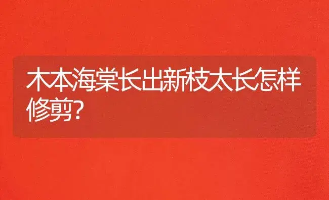 木本海棠长出新枝太长怎样修剪？ | 绿植常识