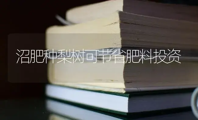 沼肥种梨树可节省肥料投资 | 果木种植