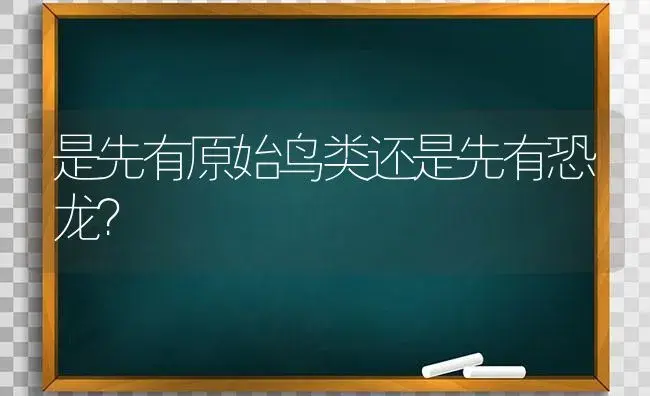 是先有原始鸟类还是先有恐龙？ | 多肉养殖