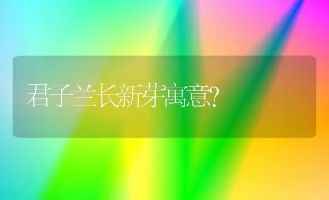 君子兰长新芽寓意？ | 绿植常识