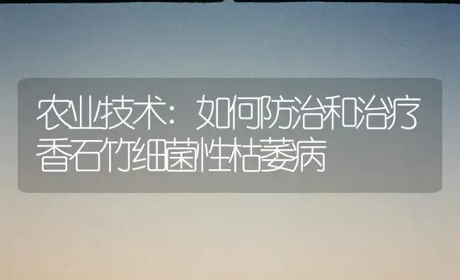 农业技术:如何防治和治疗香石竹细菌性枯萎病 | 家庭养花