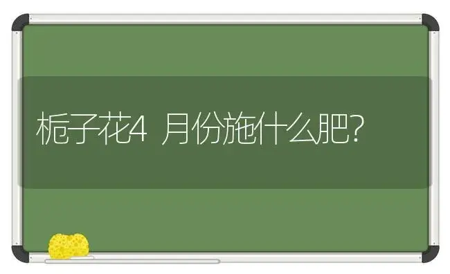 栀子花4月份施什么肥？ | 绿植常识