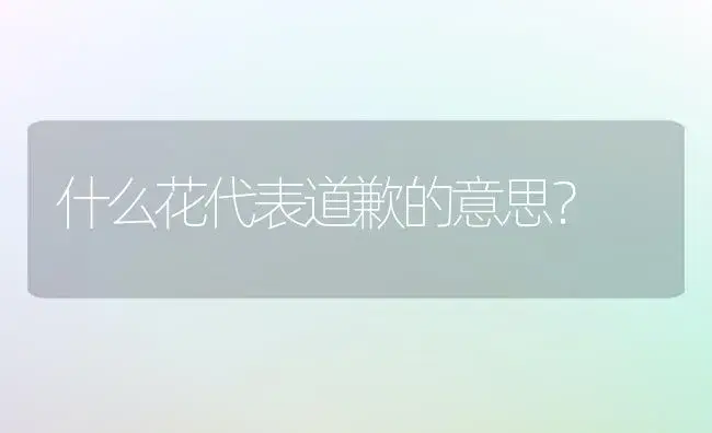 什么花代表道歉的意思？ | 绿植常识