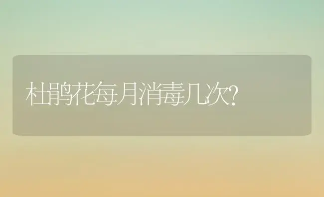 杜鹃花每月消毒几次？ | 绿植常识