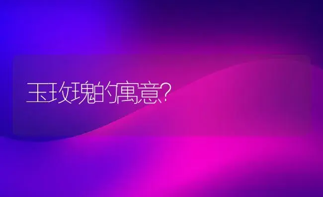 玉玫瑰的寓意？ | 绿植常识