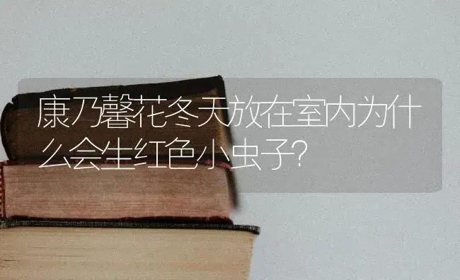 康乃馨花冬天放在室内为什么会生红色小虫子？ | 绿植常识